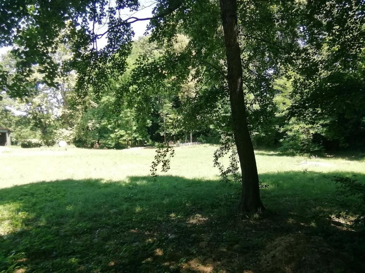 Apartmán Waldhaus Pat Galambok Exteriér fotografie
